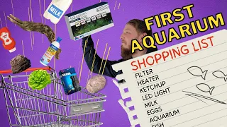 Everything you need for an Aquarium! (Beginner's series)