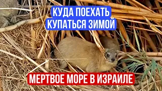 Можно купаться зимой на Мертвом море в Израиле