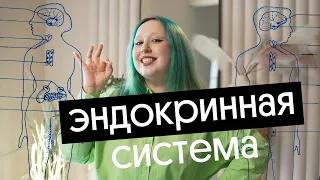 ГУМОРАЛЬНАЯ РЕГУЛЯЦИЯ ДЛЯ ОГЭ ПО БИОЛОГИИ | ЭНДОКРИННАЯ СИСТЕМА