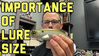 IMPORTANCE OF LURE SIZE