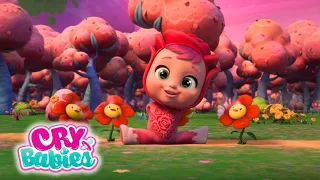 Happy Flowers Collection | CRY BABIES 💧 MAGIC TEARS 💕 Long Video | Cartoons for Kids in English