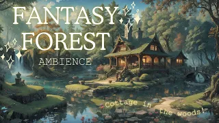 ✨Fantasy Forest ✨ Cottage in the Woods I 1h Ambience. Forest, River and Bird sounds.