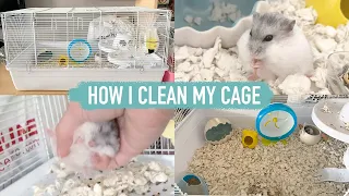 How I clean my hamsters cage!