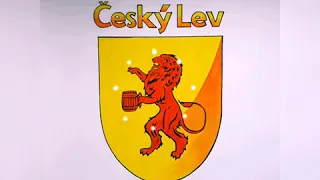 Роспись стен в пивном магазине "Cesky Lev" Художник Сабыржан Тулепкереев 2019