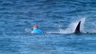 Surfer fights off great white shark mid-competition