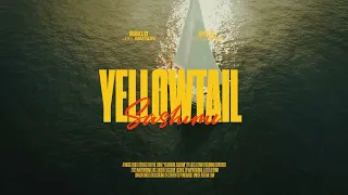 Steelo - Yellowtail Sashimi (Official Music Video)
