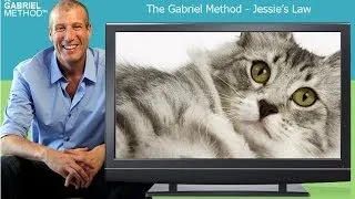 Jessies Law - The Gabriel Method