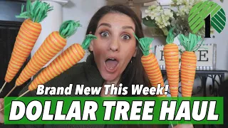 *BRAND NEW* DOLLAR TREE HAUL | NEW $1.00 ITEM CAN DO WHAT?!?!