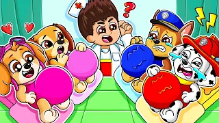 BREWING CUTE PREGNANT & CUTE BABY!!! - Funny Life Story - Paw Patrol Ultimate Rescue | Rainbow 3