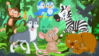 Funny Animal Sounds in 30 Minutes: Wombat, Woodpecker, Zebra, Wolf - ANIMAL (BGM)