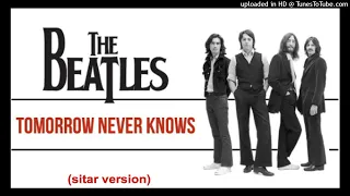 THE BEATLES - KLAUS DOLDINGER   Tomorrow never knows (sitar version) (mashup by DoM)