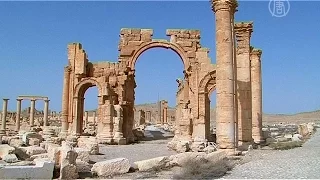 Власти Сирии обещают защитить древнюю Пальмиру от ИГИЛ (новости)
