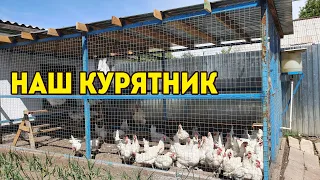 КУРЯТНИК 2021 своими РУКАМИ/ Легко построить самому КУРЯТНИК ДЛЯ НЕСУШЕК