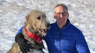 Tully Our Irish Wolfhound - He Blessed Our Life