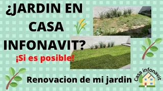 Jardín en casa Infonavit 🏠 Como poner pasto en rollo ♥️ #casainfonavit
