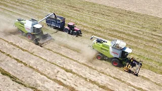 Claas Lexion 770 and 750 Harvesting Grass Seed