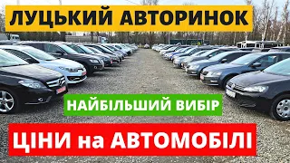 НЕРЕАЛЬНІ ЦІНИ НА АВТОМОБІЛІ в ЛУЦЬКУ /// АВТОРИНОК /// 02.03.24р. #автопідбір #автобазар #колорит