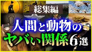 【ゆっくり解説】【総集編】人間と動物のヤバい関係6選を解説/古代エジプト、蝗害、ウリミバエ、捕鯨、イヌ、ネコ【作業用】【睡眠用】