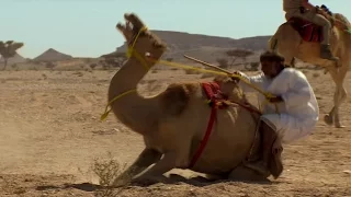 Trying To Ride A Crazy Camel - Ben & James Versus The Arabian Desert - BBC