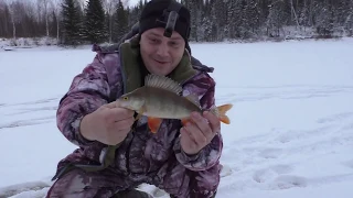 Первый лед 2019 - 2020 / Рыбалка на таежном озере