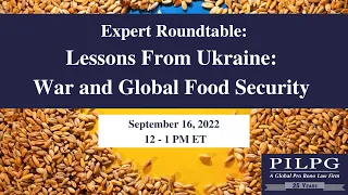 Expert Roundtable: Lessons from Ukraine- War and Global Food Security (EN)