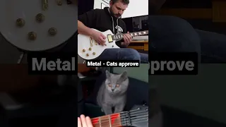 Metal Purrfection!