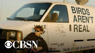 “Birds aren't real" conspiracy gaining popularity among Gen Z