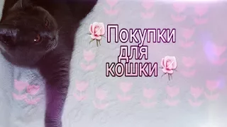 🌼Покупки для моей кошки🌼Покупки из зоомагазина🌼