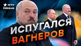 БАЦЬКА примчал к Путину, чтобы... ТАЙНА ВСТРЕЧИ двух ДИКТАТОРОВ в Петербурге