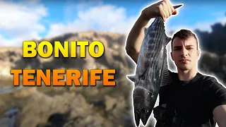 BONITO FISHING (catch & release) in CANARY ISLAND! [ENG]