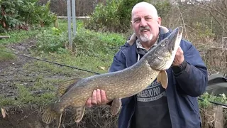 PIKE SESSION SOUTH YORKS  - VIDEO 71