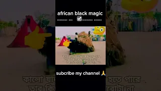 african black magic #african #magic  #trending #blackmagic#shorts #rocky304 #viralvideo