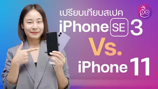 เปรียบเทียบสเปค iPhone SE 3 กับ iPhone 11 ซื้อรุ่นไหนดี | iMoD