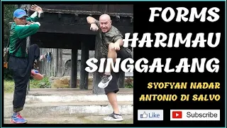 Silat Harimau Singgalang. Traditional Martial Arts Delf Defence