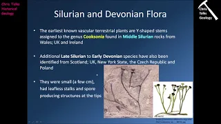 Paleozoic Life History (Plants and Vertebrates) - Part 1