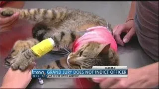 Officer accused of shooting cat won't face charges