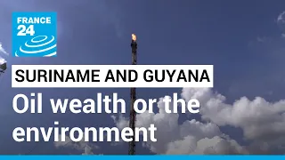 Suriname and Guyana: Oil wealth or the environment • FRANCE 24 English