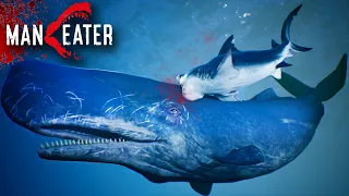 GIANT SPERM WHALE IS TOO POWERFUL !!! - Maneater Gameplay | Part 5