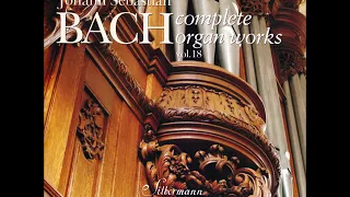 J. S. Bach - Complete Organ Works played on Silbermann Organs - CD 18/19