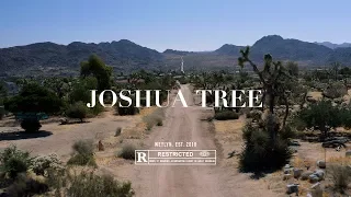 First Time in Joshua Tree