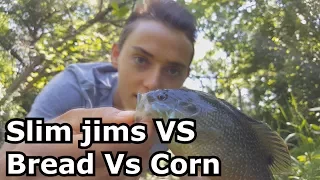 Bluegill fishing with Slim Jims VS Corn VS Bread