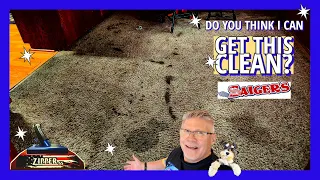 How many think I CANNOT get these TRASHED Carpets Clean?