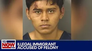 Illegal immigrant accused of attacking 11-year-old girl in Florida as mom watches in horror
