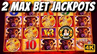 2 MAX BET JACKPOTS - Buffalo Gold slot machines WOW
