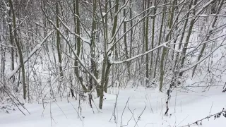 Смоленск. Откачка ЖБО. Незаконный слив -16.