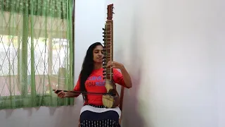 HARE HARE - HUM TO DIL SE HARE  "esraj cover"