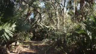 Okeechobee Florida Ranch for Sale