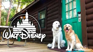 DOGS STAY AT DISNEY WORLD (Camp Wilderness Lodge Cabin) - SCS #193