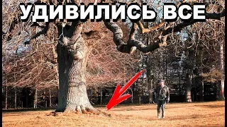 НАХОДКА В ПАРКЕ ЮВЕЛИРА!!! ЗАПРЫГАЛИ ОТ РАДОСТИ.