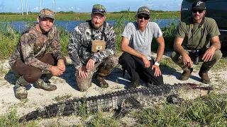 Alligator Fishing in Florida - Catch & Clean